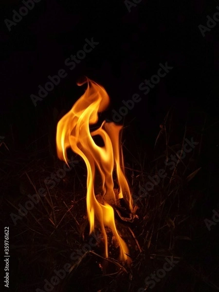 Obraz fire in the dark