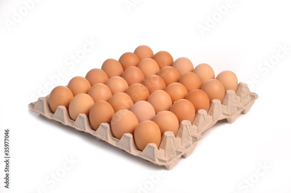 Obraz thirty eggs