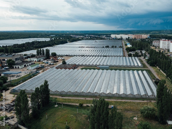 Fototapeta Aerial drone view of modern greenhouse complex