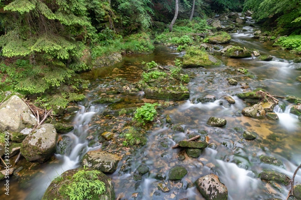Fototapeta River flowing in the mountains. Watercourse flowing through a mountain area.
