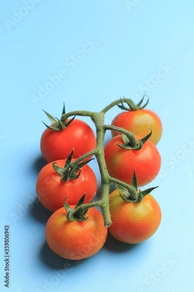 Obraz Fresh Cherry Tomato with Stem