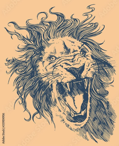 Obraz lion head vector. Vector illustration in style of roaring lion strokes. Design focused on t-shirts, posters, among others.