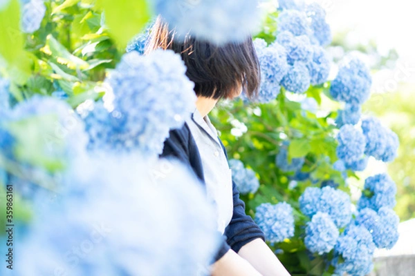Obraz 紫陽花と女性