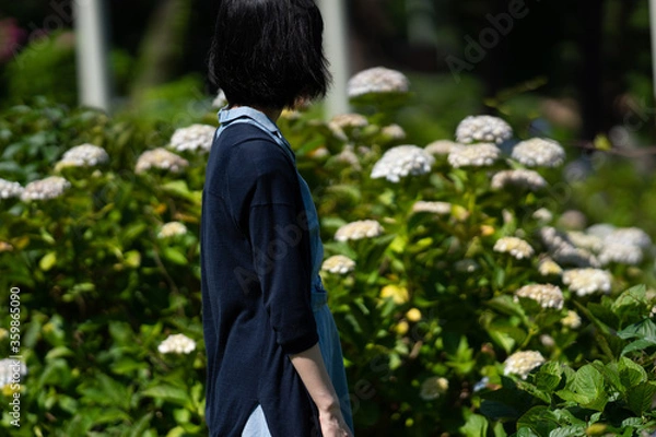 Fototapeta 紫陽花と女性