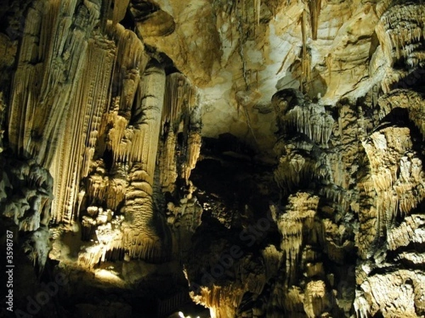 Fototapeta grandes orgues