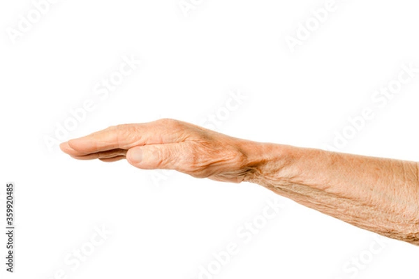Fototapeta Old lady arm on a white background. Hand of elderly woman with open palm