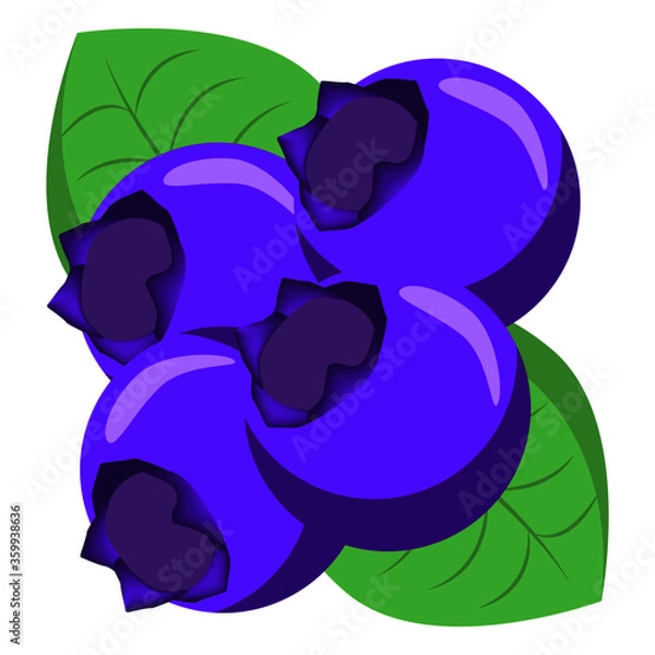 Obraz ブルーベリー