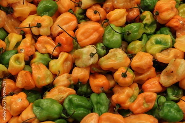 Obraz Habanero