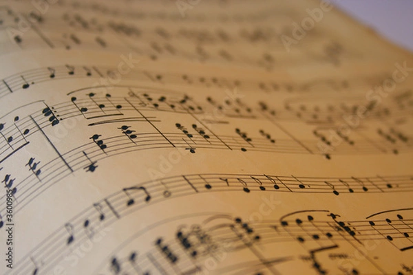 Obraz music notes wave