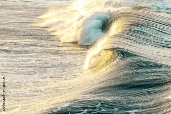 Obraz California Barrels