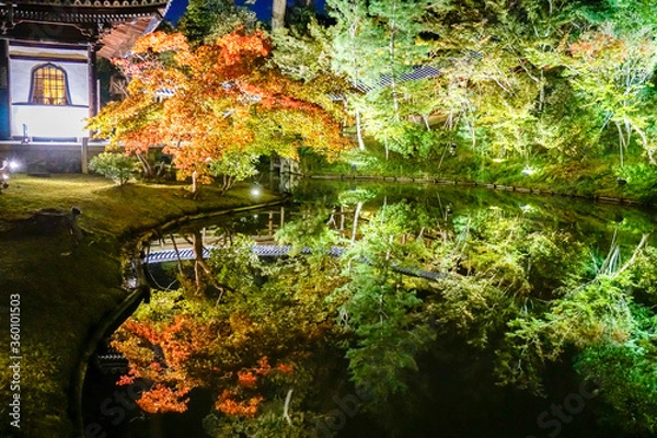 Fototapeta 京都　高台寺