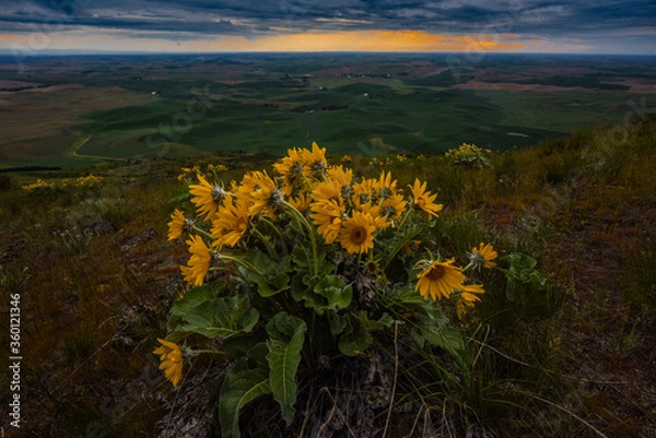 Obraz autumn in the mountains