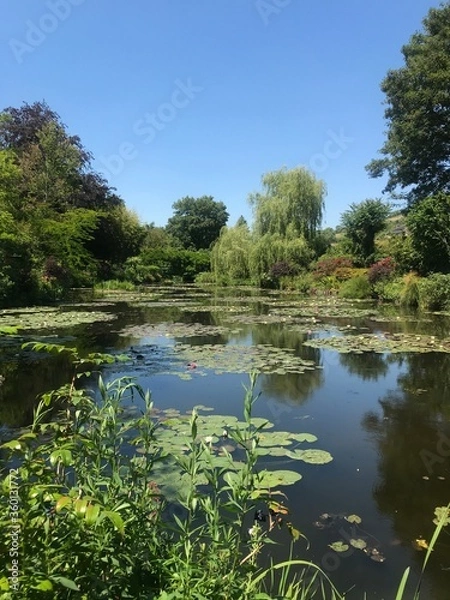 Obraz lake in the park