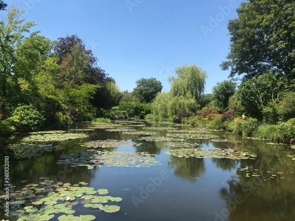 Obraz pond in the park