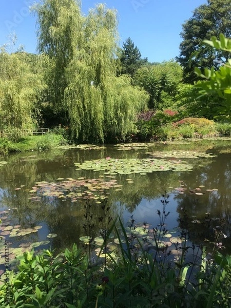 Obraz Lac sous le soleil