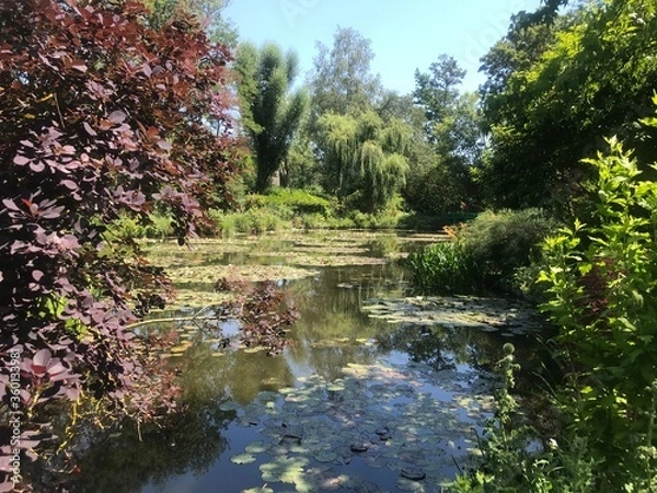 Obraz spring in the park