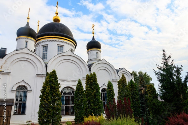 Fototapeta Trinity cathedral of St. Tikhon's Transfiguration convent in Zadonsk, Russia
