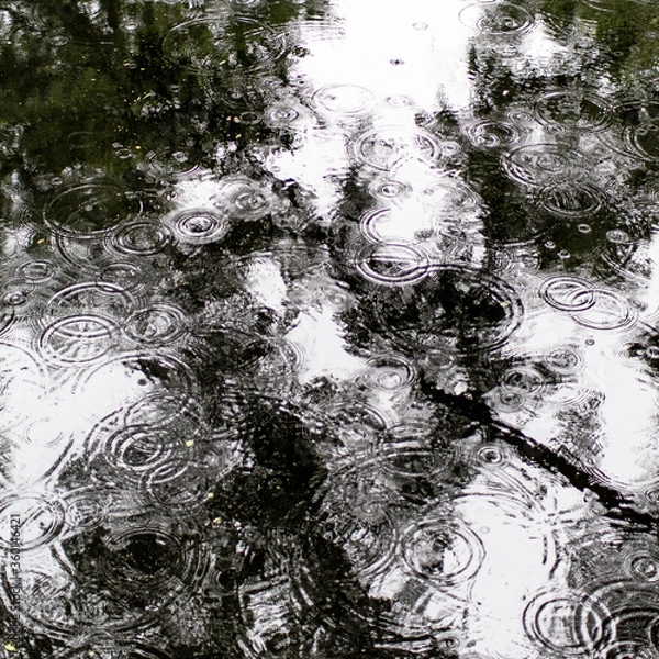 Obraz Wassertropfen im See