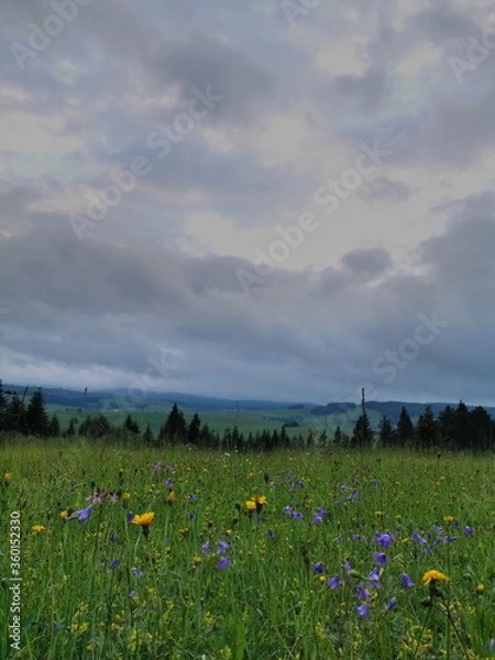 Obraz Poland Pieniny. Storm clouds over the clearing.