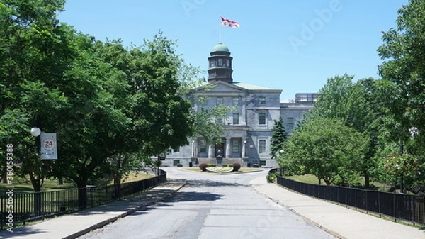 Fototapeta Montreal, QC/ Canada - 6/24/2020: McGill University campus. McGill university flag is on top of McCall MacBain (Arts building) with blue sky in the background.