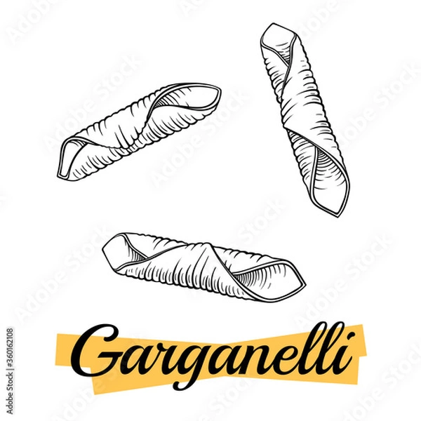 Fototapeta Garganelli Italian pasta, isolated on white. Group of garganelli close-up. Pasta italiana package design element. Pasta secco for cook or recipe book. Simple quick side dish for vegetarian. Vector.
