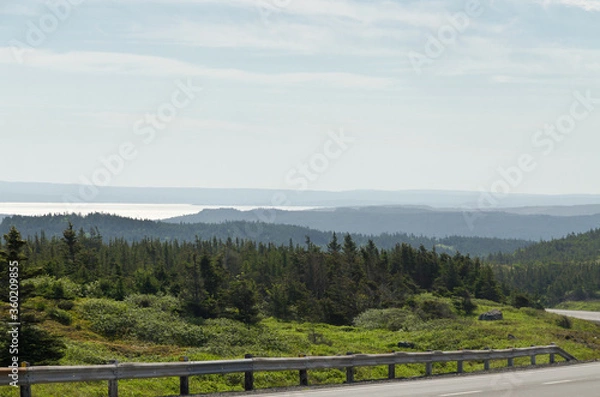 Obraz Newfoundland landscape
