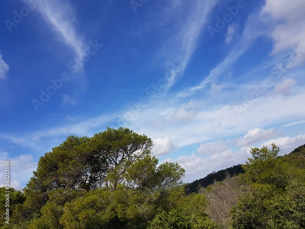 Obraz Paesaggio di Sardegna