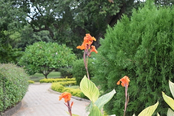 Obraz Colorful nature. 