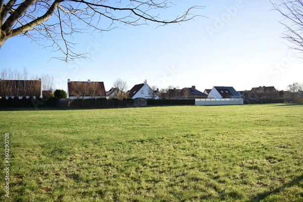 Obraz A bright morning. 