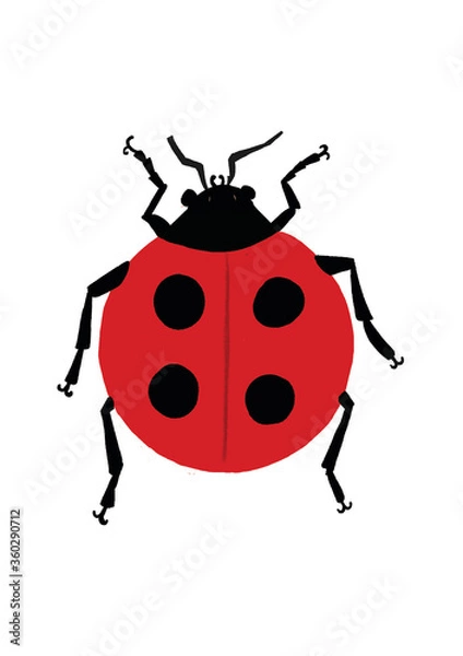 Fototapeta ladybug