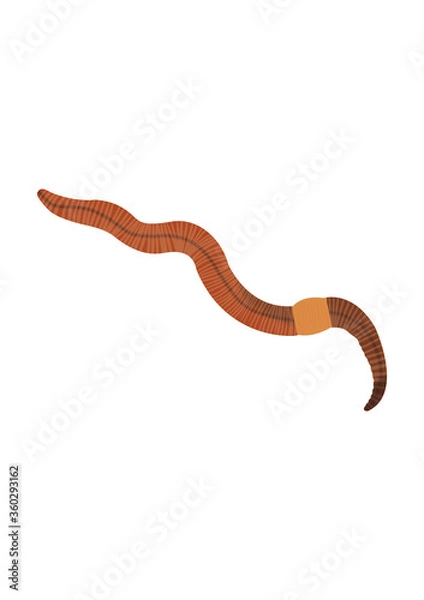 Fototapeta UK worm