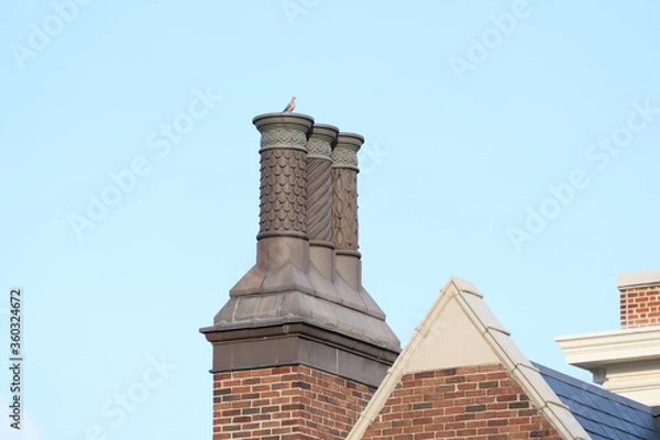 Fototapeta Three decorative chimney stacks with a pigeon