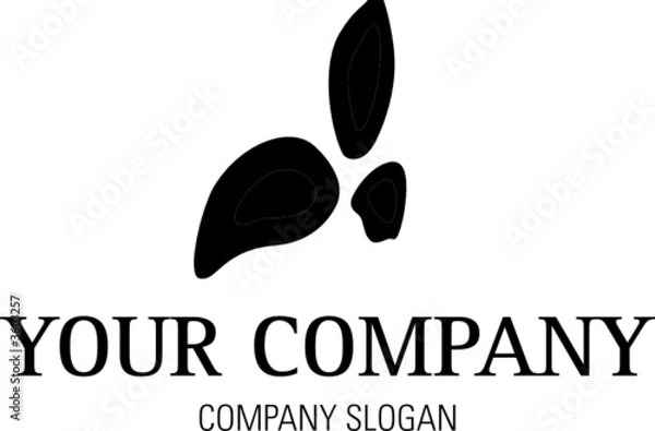 Fototapeta Logo mit floralem Element