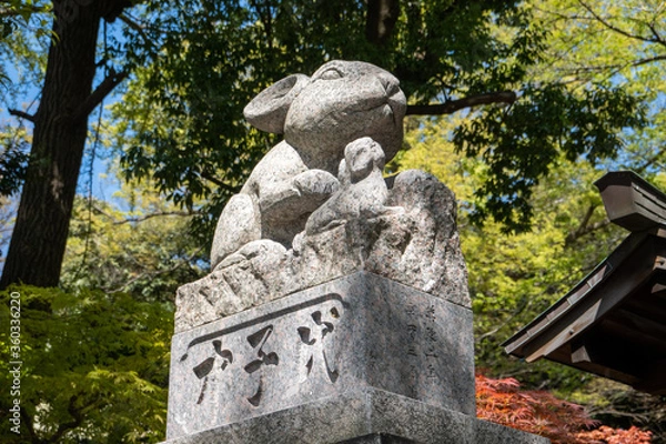 Obraz 調神社のうさぎ像