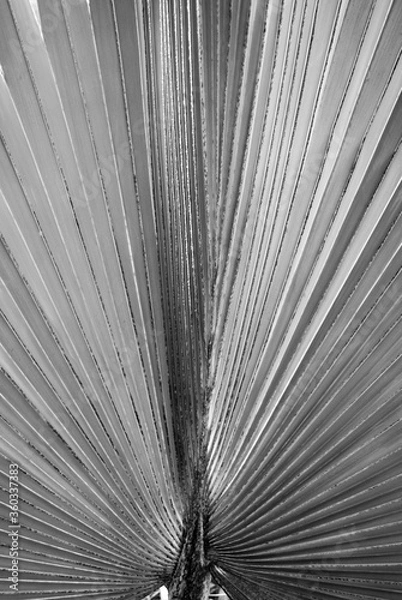 Fototapeta close up of an abstract background