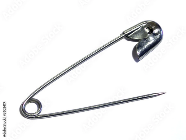 Obraz safetypin