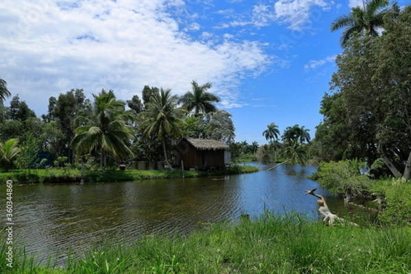 Fototapeta Playa Larga, Bay of Pigs, Matanzas region. There are crocodile farms around. Cuba.