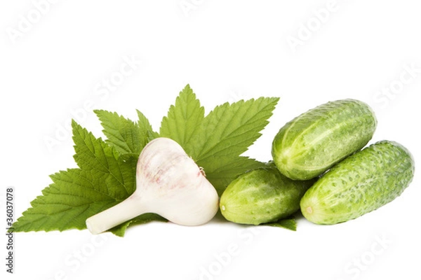 Obraz Vegetables and herbs on a white background