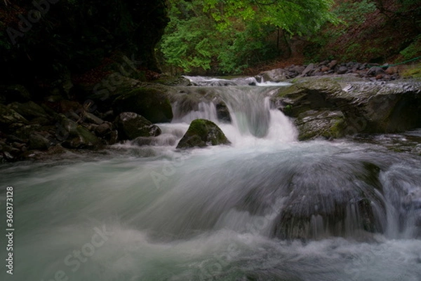 Fototapeta 夏の渓流（日本、長野県、茅野市、杜鵑峡）