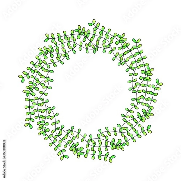 Fototapeta circle frame with green algae