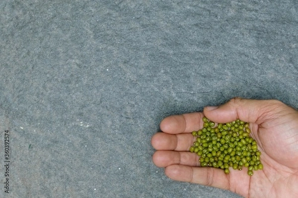 Obraz Green peas piled on bare hands.