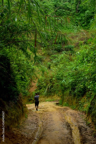 Obraz adventure in nature and flowers