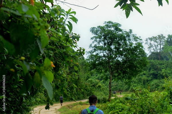 Obraz adventure in nature and flowers