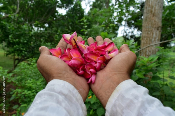 Obraz adventure in nature and flowers