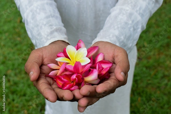 Obraz adventure in nature and flowers