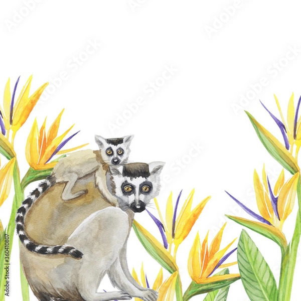 Obraz lemur with cub pattern watercolor silhouette tropical animals isolate object  background primacy