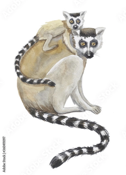 Obraz lemur with cub pattern watercolor silhouette tropical animals isolate object white background primacy
