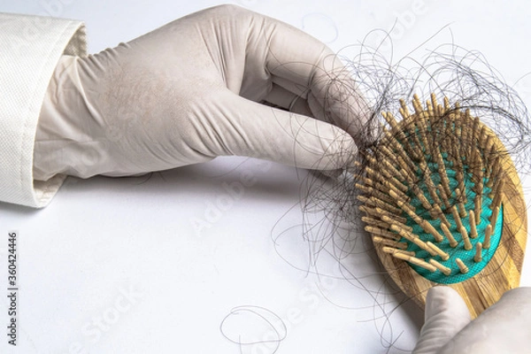 Fototapeta Hair loss experts wear gloves pick up hair from brush for examination. On a white background with copy space on right.