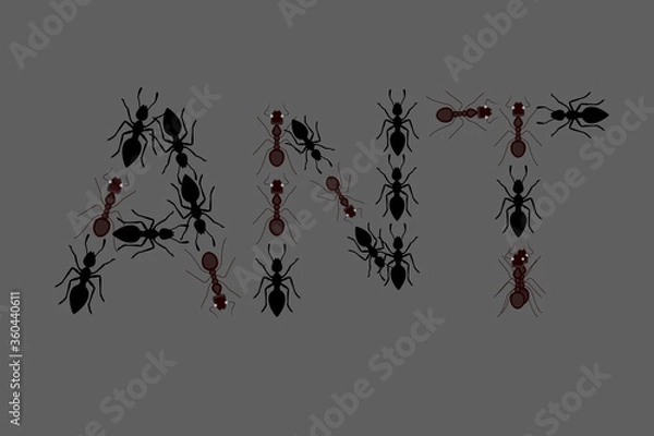 Fototapeta Ant vector illustration design