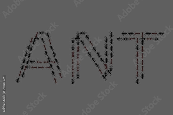 Fototapeta Ant vector illustration design